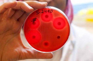 Tema: Antibiotika – missbrukad mirakelmedicin