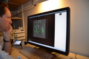 Blockering av cancercellers kommunikation