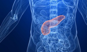 Immunförsvaret och diabetes – oväntad koppling funnen