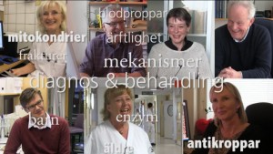 Nära samarbete mellan sjukvård och akademi