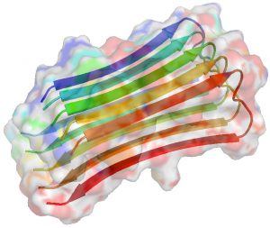 Enkelt prov kan avslöja Alzheimers-risk