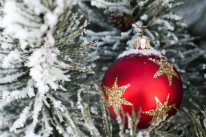 Vi önskar våra läsare en God Jul och Gott Nytt År!