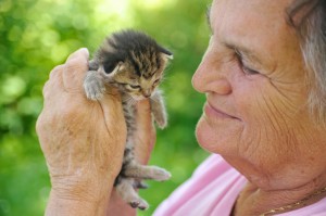 Viktiga prioriteringar vid postpolio