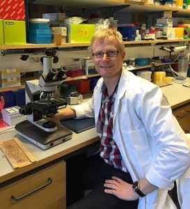 Nya rön om ”nyckelspelarna” vid inflammation i hjärnan