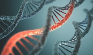 Neurogenetiska och neurometabola sjukdomar