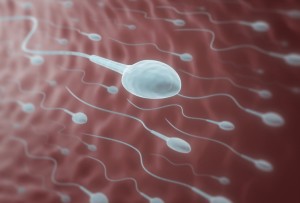 Jämställd fertilitetsvård kan öka chans att bli förälder