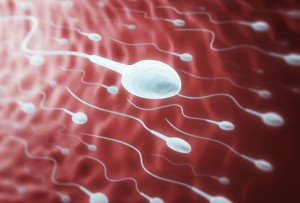 Mannen i fokus i projekt om barnlöshet