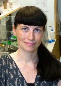 Hon vill förstå hur fetma kan leda till insulinresistens