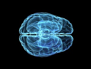 Steg på vägen till genterapi mot svårbehandlad epilepsi