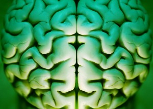 Genombrott i cellfabriken – upptäckt kan ge ny inblick i sjukdomar som Alzheimers och Parkinsons