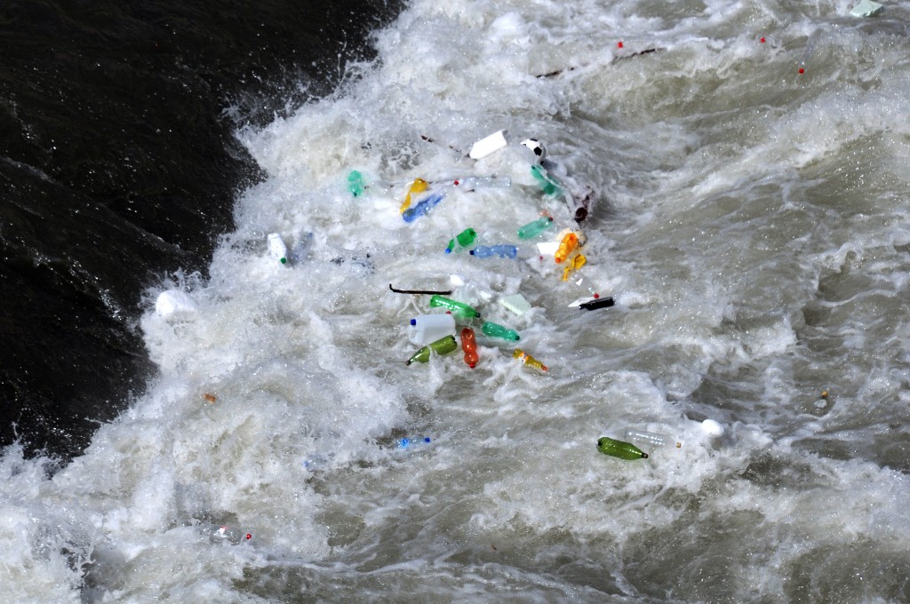 Nanopartiklar av plast stör fiskars beteende