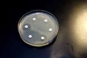 Möjligt alternativ till antibiotika för farliga infektioner
