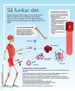 Så funkar det
