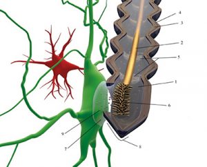 Nanoelektroder en revolution för behandling i hjärnan