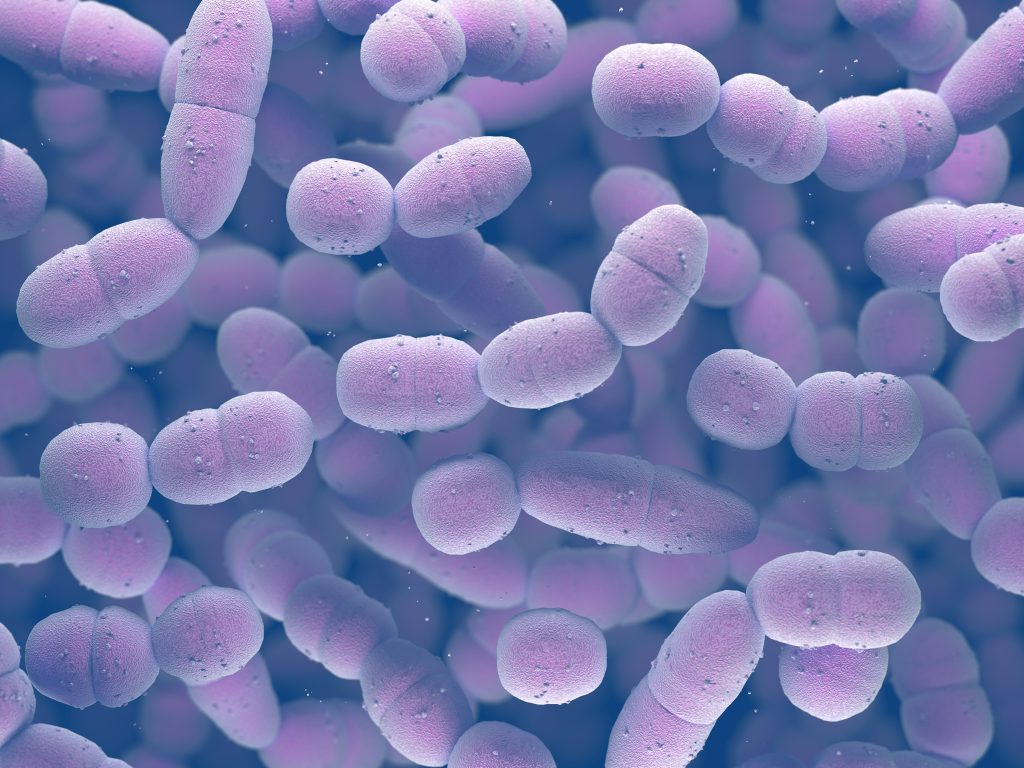 Grundforskning nödvändig i kampen mot sepsis