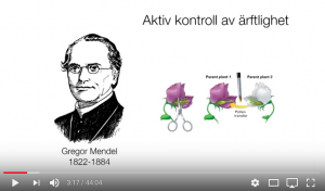 FILMAD FÖRELÄSNING: Virus och bakterier – nya hjälpmedel vid reparation av hjärnan