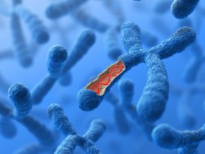 Podd: Kartlägger cancercellernas fingeravtryck