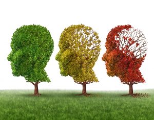 Ny metod kan utvärdera läkemedel mot alzheimer