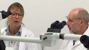 Alzheimer saknar samband med diabetes