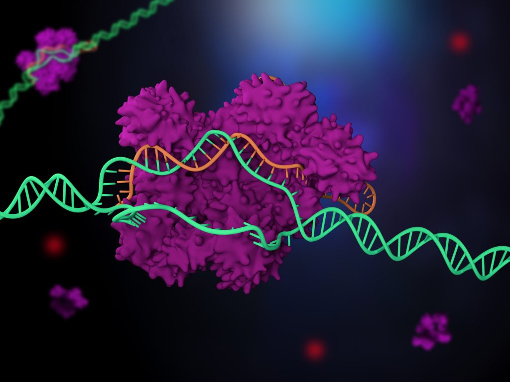 Bilden är en illustration av CRISPR