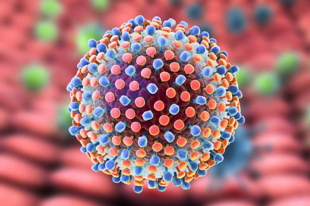 Bilden är en illustration av ett hepatit C-virus. Viruset kan beskrivas som en boll var yta är täckt med små klubbor, inte helt olikt coronaviruset men klubborna verkar vara fler. På bilden är klubborna färglagda i blått och rosa. 