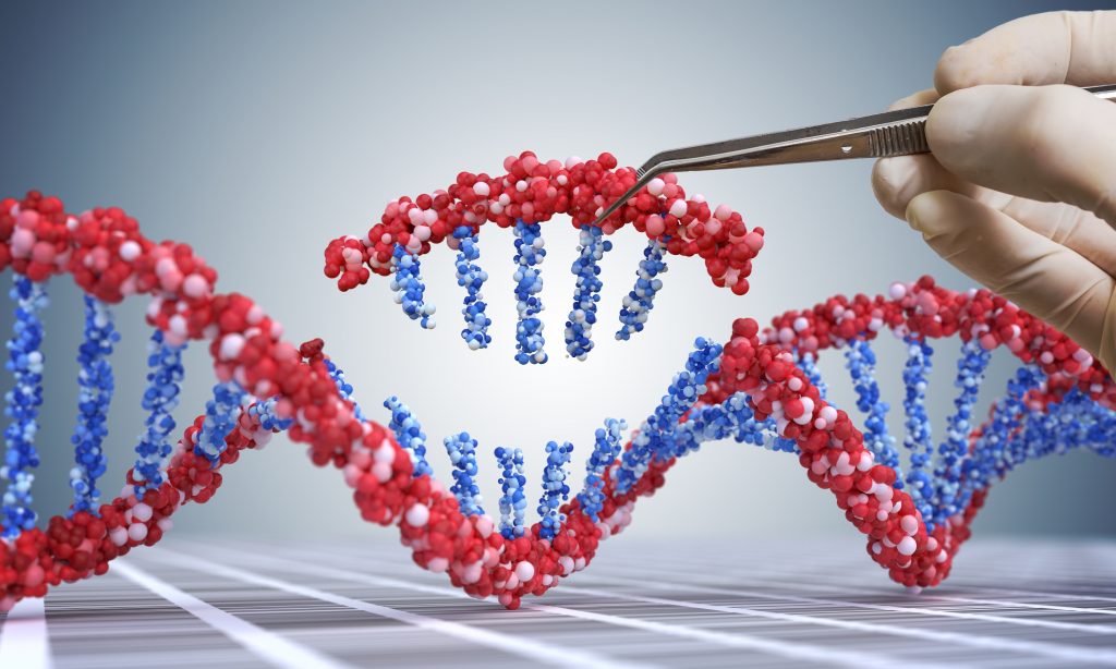 bilden är en illustration av en bit DNA, en närbild av en bit av DNA som plockas bort med en pincett. Bilden ska illustrerar hur man på gentekniksk väg kan byta ut delar av eller hela gener