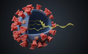 Ingen är säker förrän alla är säkra – så påverkar mutationerna vaccinationerna