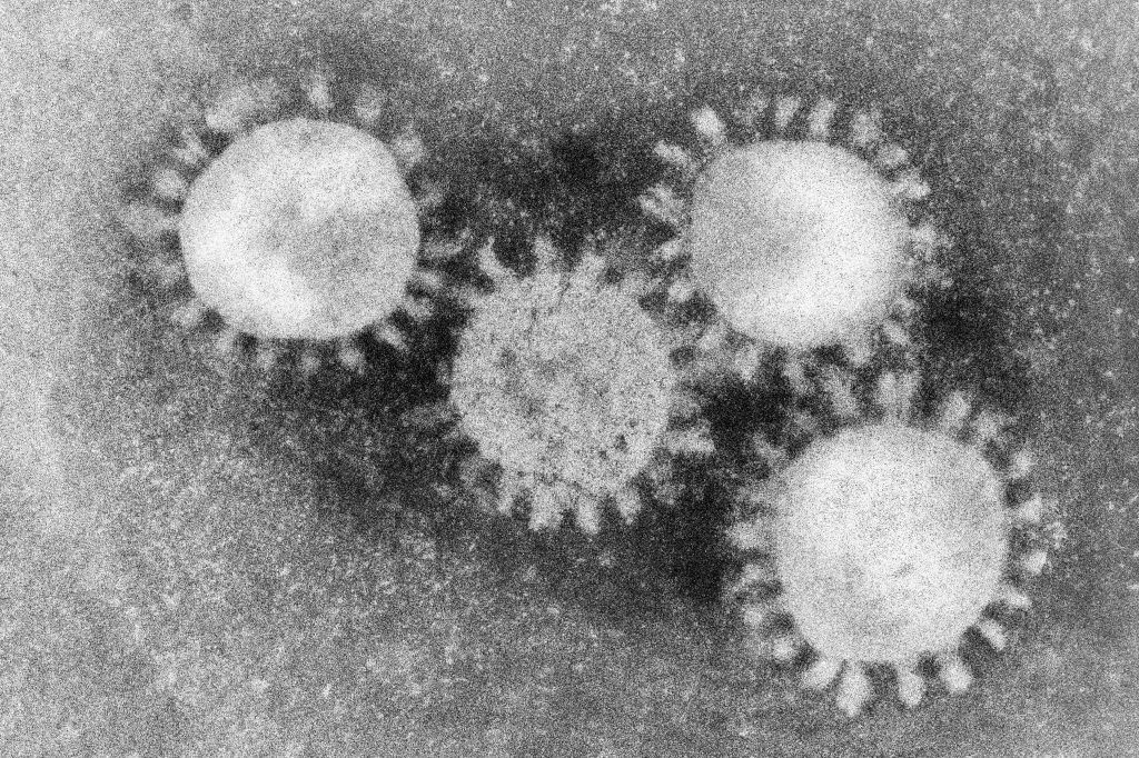 Immunsvaret vid covid-19 – vad vet vi?