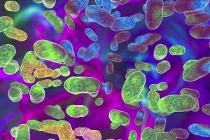 Gåtan med bakteriens ”hjärta” löst – kan bli mål för ny antibiotika