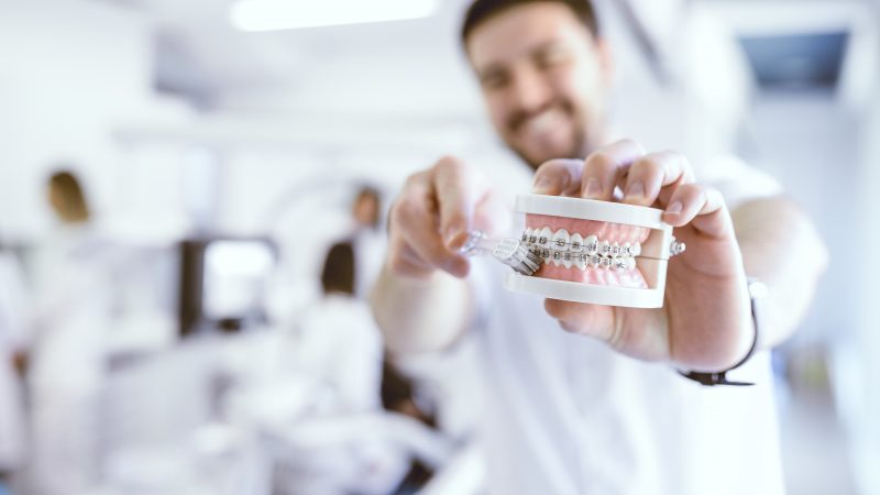 Tandläkare visar hur man ska borsta tänder med tandställning.