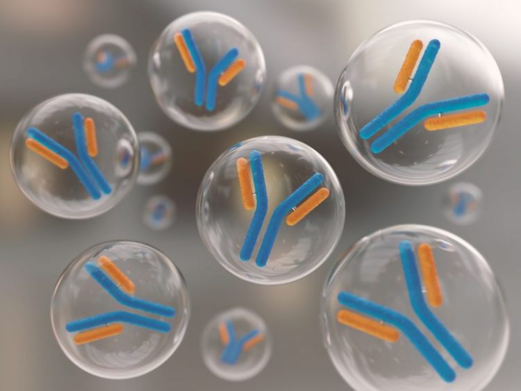 I bilden ses 6 större och 6 mindre genomskinliga plastbubblor som alla innehåller en antikropp som här illustreras med hjälp av två blå, längre pinnar och två gula, kortare pinnar som sitter samman i formen av bokstaven Y