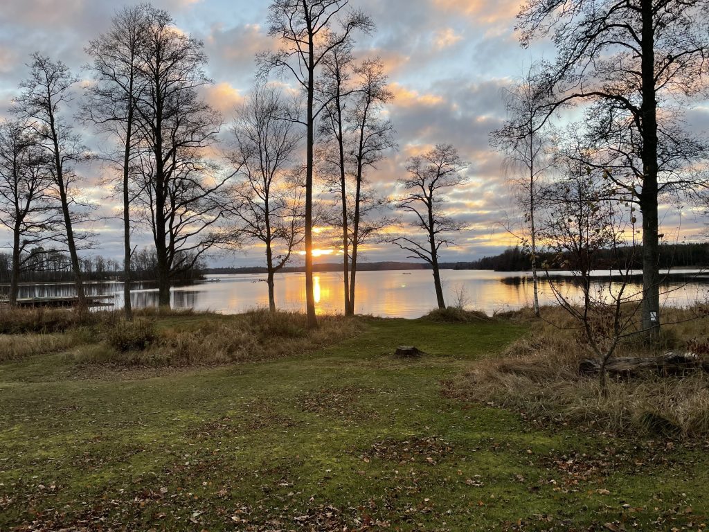 höstbild tagen vid en sjöstrand. I förgrunden grön gräsmatta täckt emd höstlöv, vid strandkanten träd som tappa sina löv. Vattnet är lugnt, och solen är på väg att gå ner