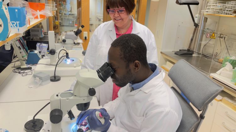 I förgrunden afrikansk man som tittar i ett mikroskop. Han är klädd i vit labbrock och bär även blå gummihandskar. Bakom honom står medelålders kvinna, brunt hår i page-frisyr och glasögon. Hon har en rosa skjorta och även hon bär vit labbrock som är uppknäppt. Bilden är tagen på ett labb.