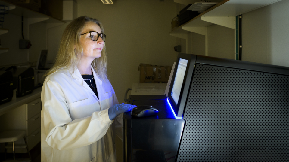 kvinna klädd i vit labbrock står i ett mörkt rum och tittar å en upplyst skärm som sänder ut ett blåaktigt ljus