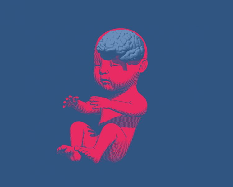 illustration av foster i rött med en blå hjärna