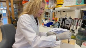 Starkt samband mellan tarmbakterier och metaboliter i blodet