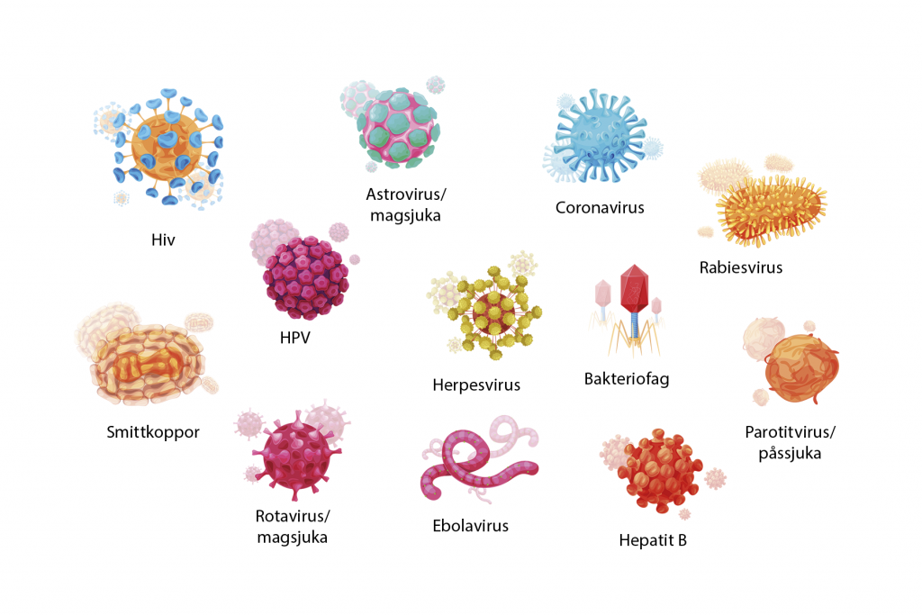 illustration av olika virus