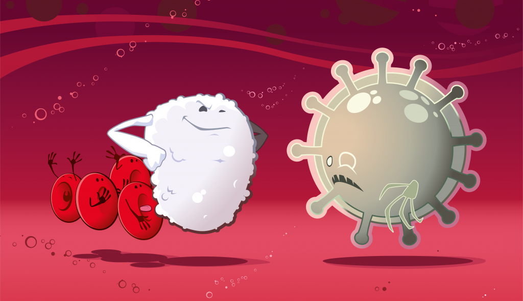 illustration av ett virus som möts av en kaxig vit blodkropp med flera röda blodkroppar bakom ryggen