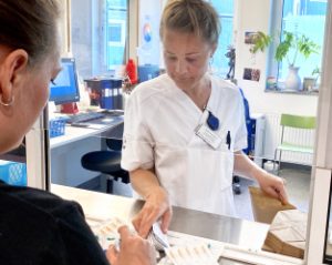 Sprutbyte, naloxon och rehabilitering vid opioidberoende