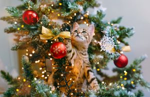 God jul och gott nytt år från oss på redaktionen!
