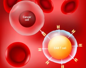 Illustration av CAR-T-cell som har bundit till ett antigen, en struktur på cancercellens yta. I bakgrunden ses röda blodkroppar.