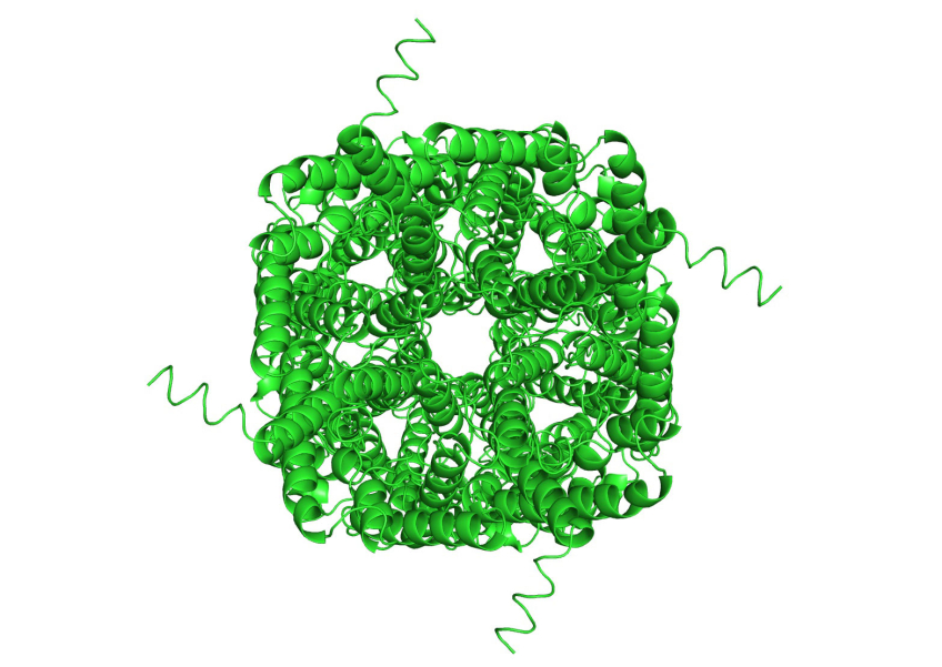 grönt nystan av krulliga band som illustrerar proteinets struktur
