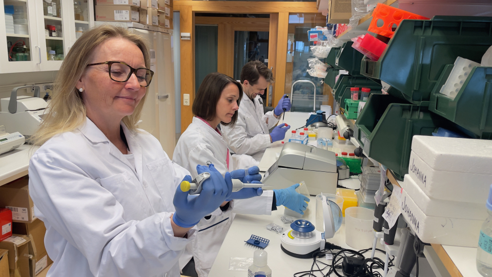 tre forskare i labbrockar sitter vid en lång labbänk och pipetterar