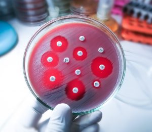 Skrämmande antibiotikaresistens upptäckt i krigets Ukraina
