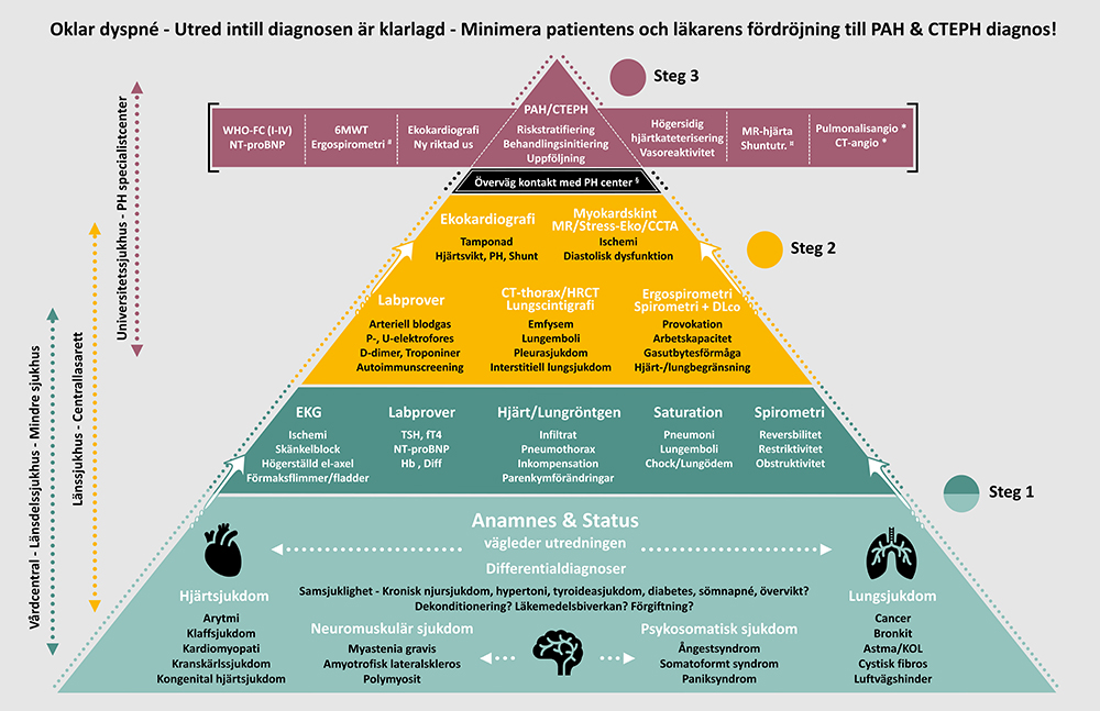 bilden föreställer ett steg-för-steg-schema i form av en pyramid