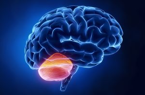 Test på fem minuter ger indikation om ADHD