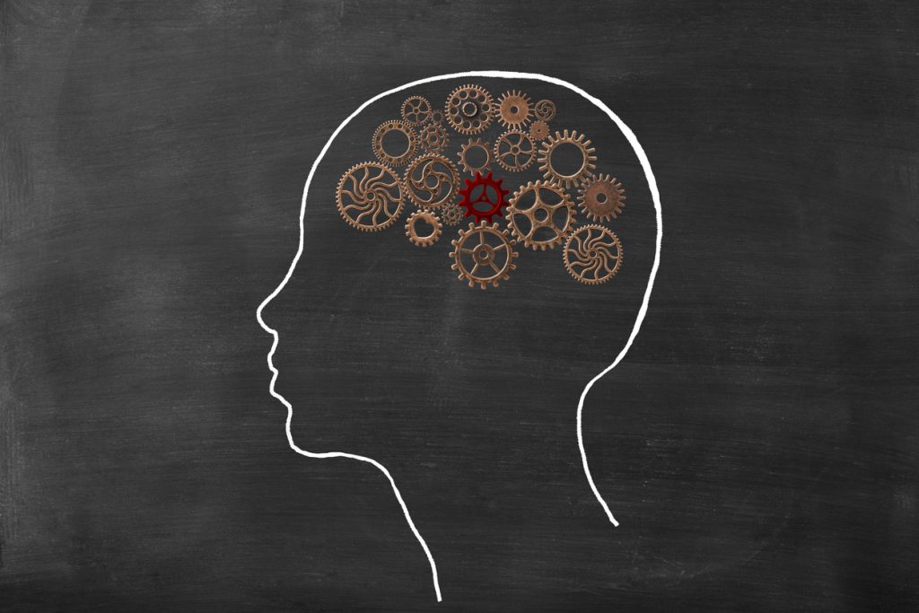 siluetten av en skalle ritad med krita på en tavla. Inne i bilden, istället för hjärnan ligger en mängd olika kugghjul i metall.
