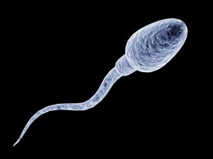 Ny metod möjliggör identifiering av mutationer i spermier