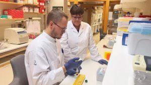 Protein som påverkar förmågan att frisätta insulin vid typ 2-diabetes