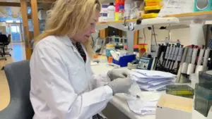 Genvarianter som påverkar tarmflora och sjukdomsrisk